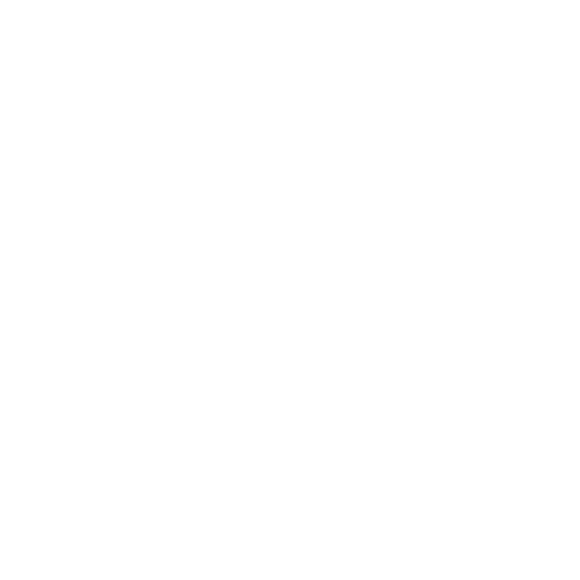 Jordan Logo WHT